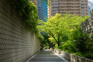 「管理していない物件」でも応える。青山メインランドグループの管理会社が示す相談の間口